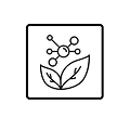 Antioxidáns hatás
